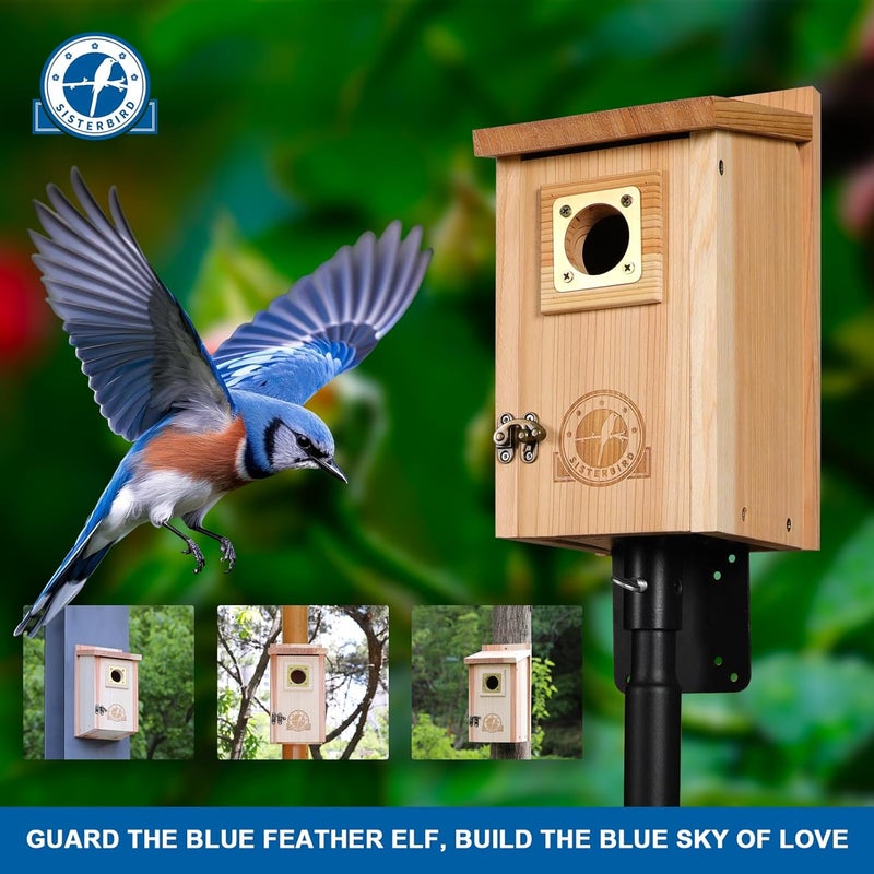 SISTERBIRD Bird Houses for Outside Clearance with Copper Guard, Cedar Bird House Outdoor, Bluebird Finch Swallow Wren Chickadee - Image 2